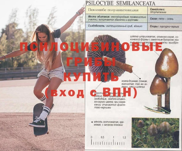 ешки Абаза