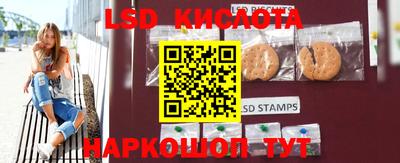 мяу мяу мука Краснознаменск