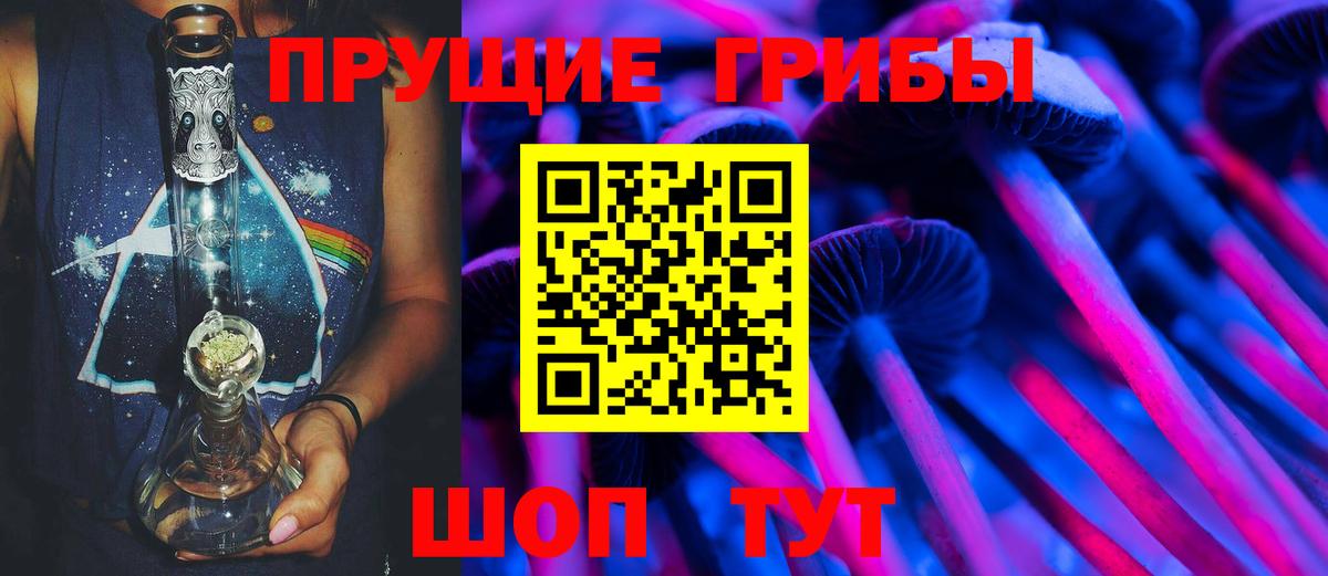 Псилоцибиновые грибы ЛСД Зеленогорск